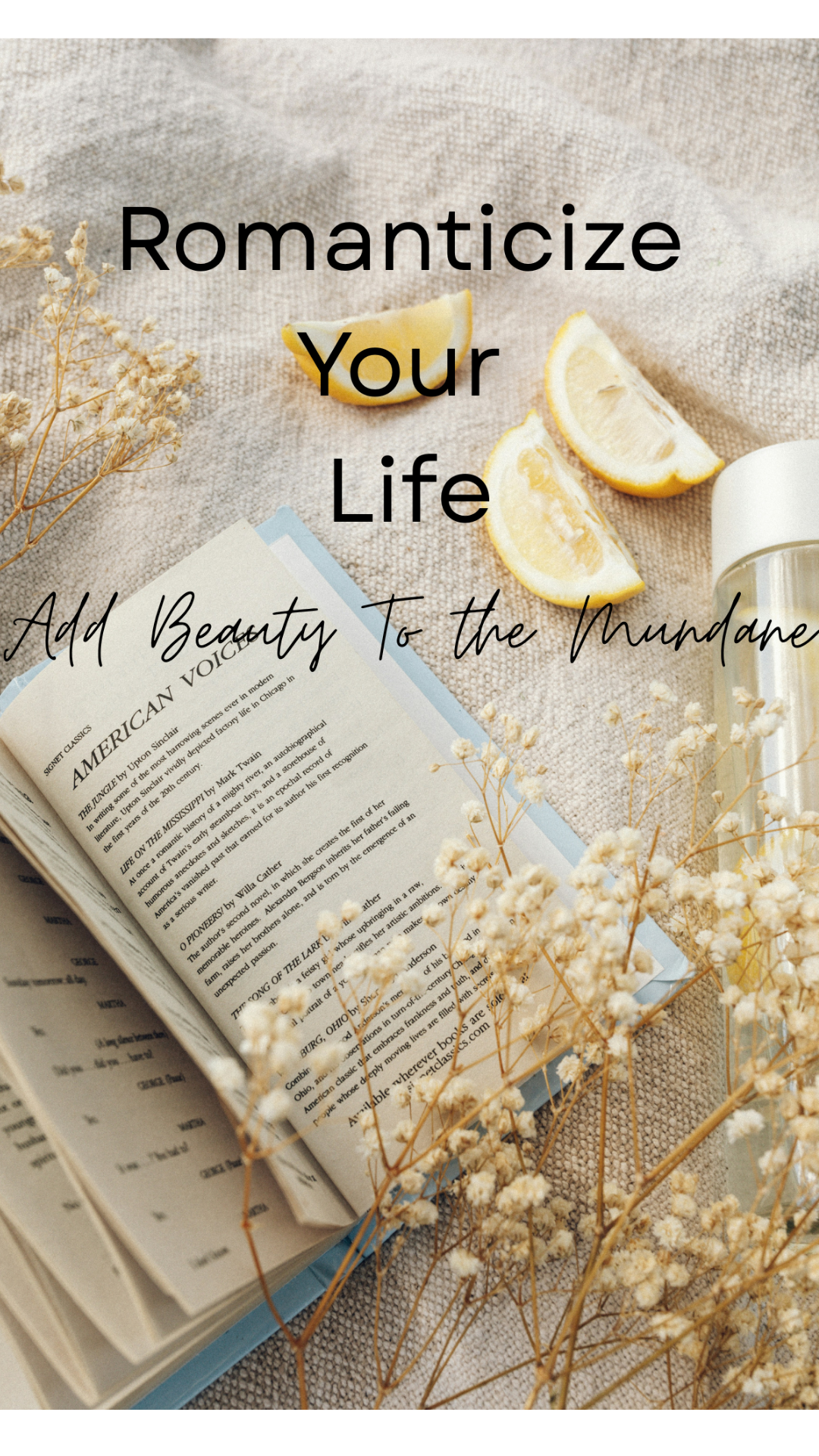 Guides For an Aesthetic Lifestyle